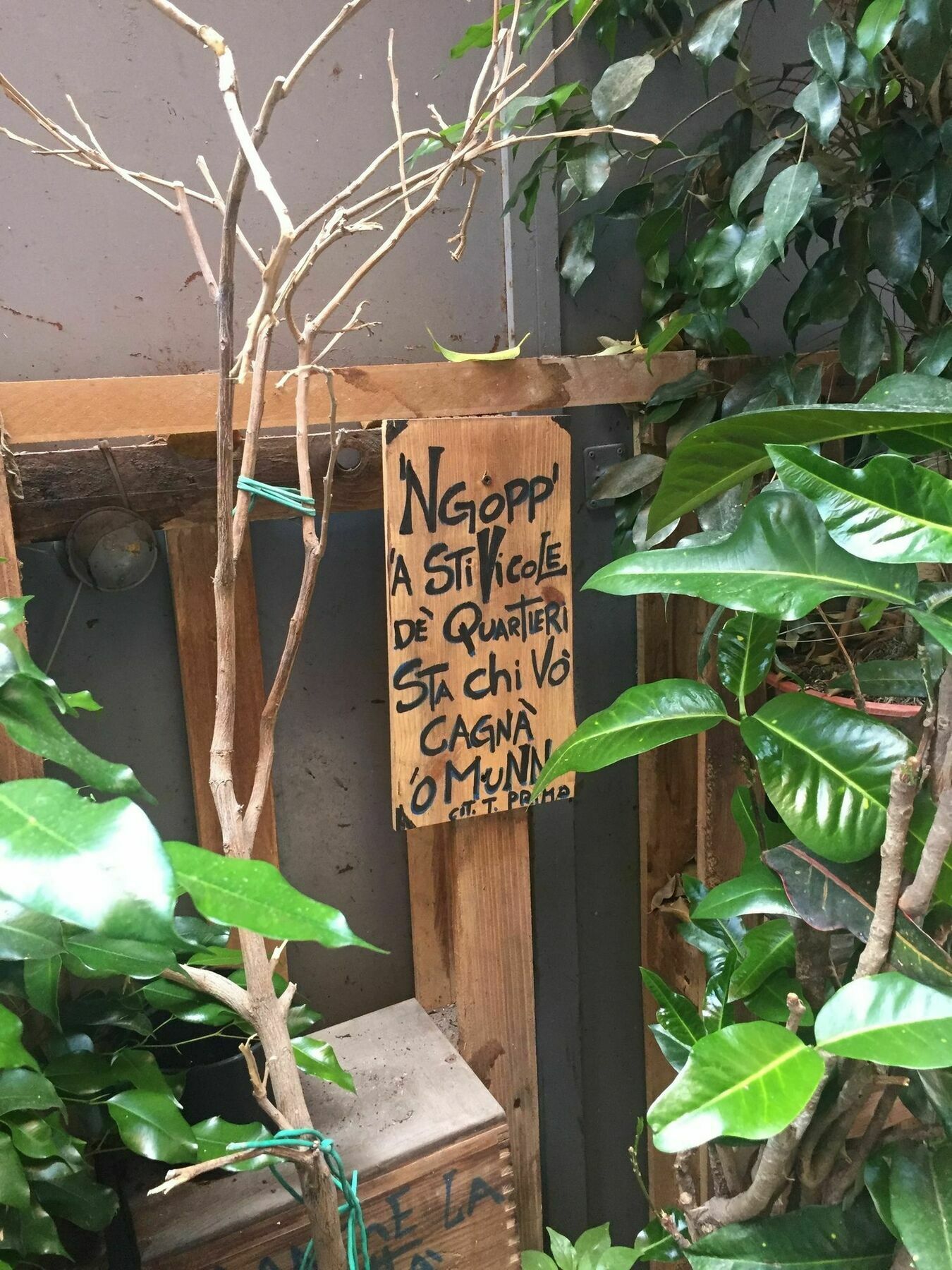 B&B Vicoli di Napoli Esterno foto